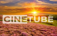 Postul de filme Cinetube va avea altă denumire. Cum se va numi?