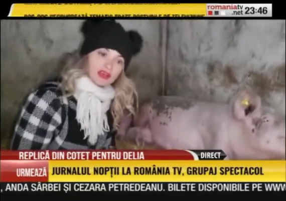 România TV, două amenzi şi o somaţie. O invitată s-a filmat cu scroafa-n coteţ ca s-o atace pe Delia