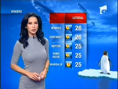 VIDEO. Publicitate ca la meteo. Vremea cool şi Ursus Cooler. Reclamă inedită în rubrica meteo de la Antena 1
