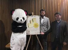 Povestea lui Pandalie, cea mai eficientă campanie. De ce un urs panda şi de ce Mikey Hash? Publicitarul Matei Psatta explică