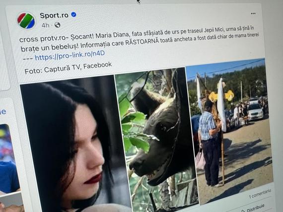 DERAPAJ. De pe net. Clickbait revoltător al Sport.ro pe tema fetei ucise de urs: un mesaj din care putea reieşi că tânăra era gravidă