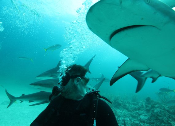 Discovery Channel lansează săptămâna rechinilor