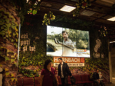 SECŢIUNE SPECIALĂ. Galerie foto. Staţia de metrou Unirii, invadată de vegetaţie luxuriantă într-un proiect cu Hornbach