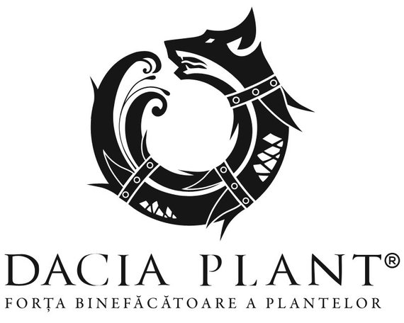 (P) Brandul Dacia Plant se relansează. Noua identitate vizuală a companiei