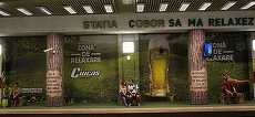 SECŢIUNE SPECIALĂ. Galerie foto. Ciucaş aduce natura la metrou