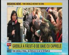 Burtieră la minut: Toni Greblă a făcut-o de oaie cu caprele