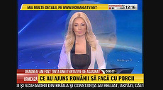Umor involuntar la RTV: Dragnea, tentativă de asasinat. Ignat în august. Ce au ajuns să facă cu porcii