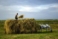 La ţară, doar unul din trei români citeşte publicaţii tipărite. BRAT anunţă primele date de audienţă din mediul rural