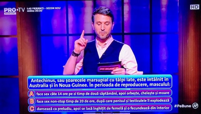 Pe bune?! Cu întrebări legate de sex şi glume cu apropouri, Pro TV s-a dus pe doi pe comercial. Gospodar fără pereche a dominat audienţa, emisiunea cu Andi Moisescu a pierdut-o