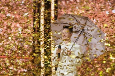 AUDIENŢE. Românii au talent. Primăvara vine cu cifre mari pentru emisiunea de pe Pro TV. Cifrele primei ediţii din martie