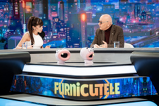 AUDIENŢE Denise Rifai. Furnicuţele de pe Antena 1 aproape au dublat publicul pe interval. Câţi români s-au uitat la noua emisiune