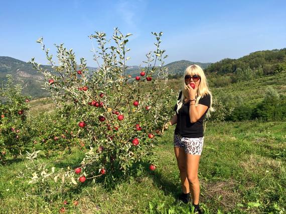 Elena Udrea stârneşte comentatorii cu mere roşii, zemoase şi dulci: sute de reacţii