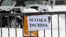 BLOGOSFERĂ. "Taticool" Dan Cruceru, postarea zilei: "Doamna primar, 250 de mii de copii vă mulţumesc! N-au nevoie de şcoală ca să vă voteze mai târziu!"