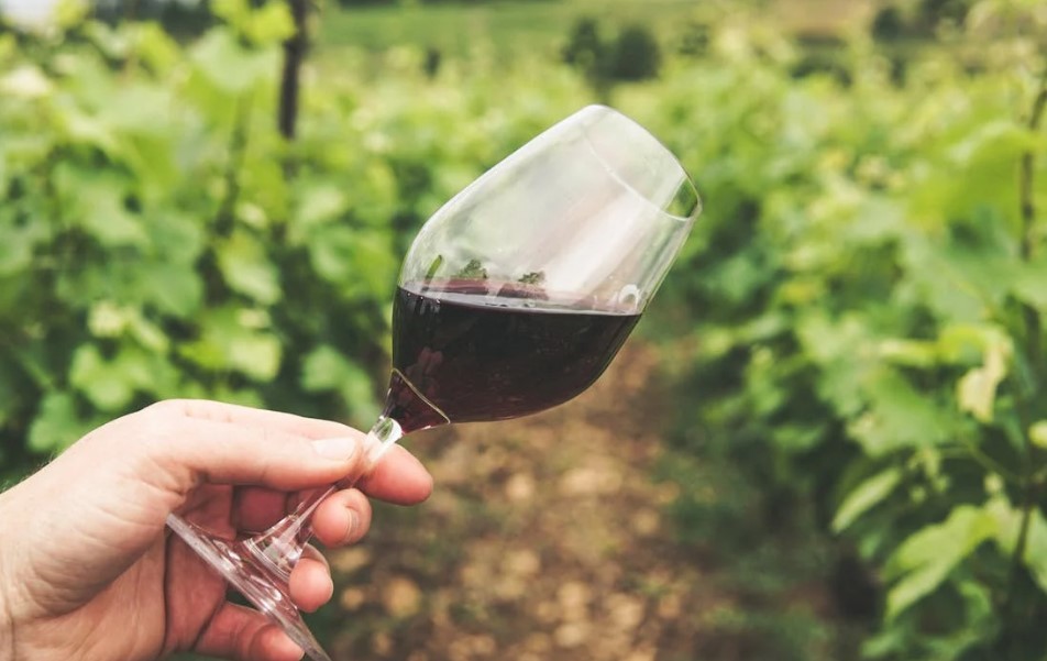 PARTENERIAT. Cele mai apreciate crame din Republica Moldova aduc la Bucureşti vinuri, spumante şi vin ars, la cea de-a cincea ediţie a Festivalului Vinului Moldovenesc