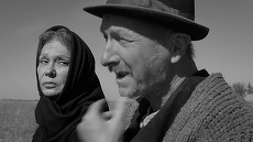 Familia Moromete vine pe HBO şi HBO GO. Care sunt filmele şi serialele lunii martie