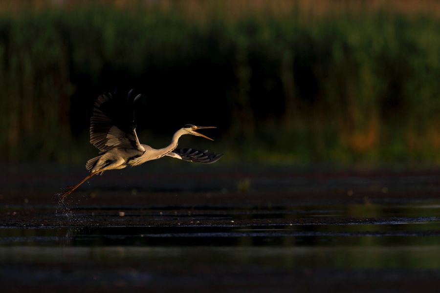 Silviu Matei | Outdoorphotography.ro