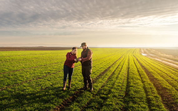 COMUNICAT. Trei motive să apelezi la un credit nebancar dacă vrei să investeşti în agricultură 