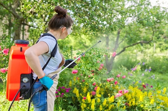 COMUNICAT. Cum să ai o grădină îngrijită şi frumoasă - drujbe si pulverizatoare echipamente cheie