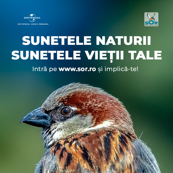 COMUNICAT. Societatea Ornitologică Română şi Universal Music România lansează albumul Sunetele Naturii. Sunetele Vieţii Tale