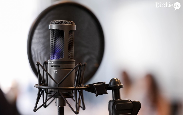 PARTENERIAT. Curs de Voice Over, în 10-11 septembrie, la Bucureşti. Cum vă puteţi înscrie?