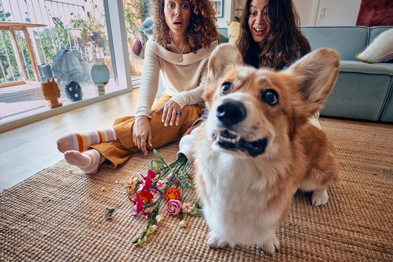 COMUNICAT: Un nou studiu realizat de Grupul LEGO, lansat cu ocazia Valentine’s Day, arată că florile rămân cadoul cu risc minim şi impact maxim