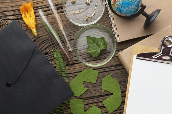 COMUNICAT. Generaţia verde: de ce educaţia ecologică este mai importantă ca niciodată