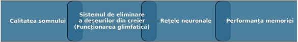 De cât somn avem cu adevărat nevoie? Cercetătorii dezvăluie ce se întâmplă cu creierul atunci când nu dormim suficient