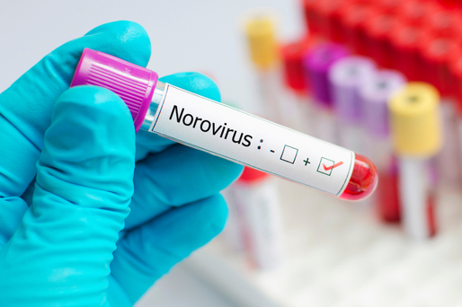 Un candidat de vaccin oral împotriva norovirusului, testat în studii clinice