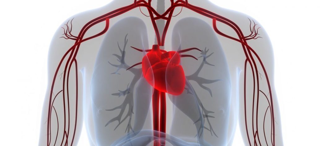 Peste jumătate dintre cazurile de stop cardiac ar putea fi prevenite