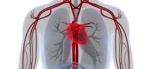 Peste jumătate dintre cazurile de stop cardiac ar putea fi prevenite
