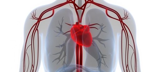 Peste jumătate dintre cazurile de stop cardiac ar putea fi prevenite