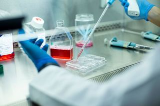 Vaccinuri personalizate împotriva cancerului, o nouă abordare pentru prevenirea recidivelor