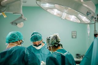 Progrese majore în transplantul de organe de la porc la om
