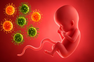 Cum provoacă un virus comun defecte congenitale. Ce au descoperit cercetătorii