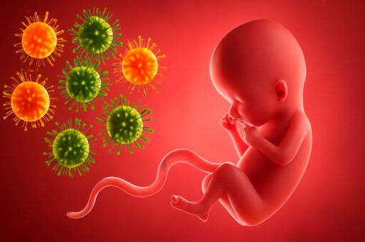 Cum provoacă un virus comun defecte congenitale. Ce au descoperit cercetătorii