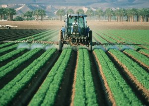 Un studiu de referinţă evidenţiază legătura dintre pesticide şi mortalitatea infantilă