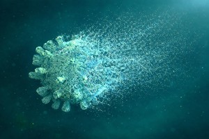 VIDEO Fragmentele de coronavirus rămase în organism pot distruge celulele sistemului imunitar şi pot contribui la sindromul post-Covid, sugerează un studiu