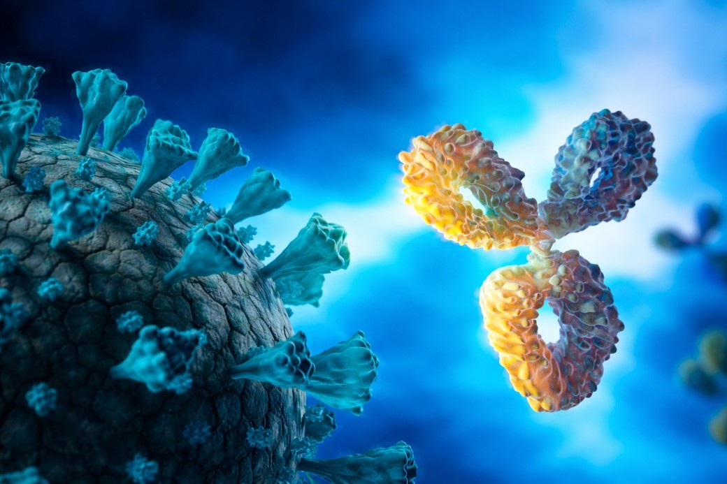 Un nou tip de anticorp neutralizează eficient coronavirusul 