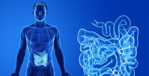 O posibilă legătură biologică între tulburările de somn şi bolile inflamatorii intestinale