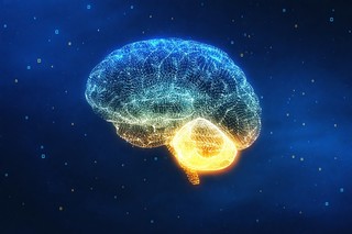 O structură naturală din neuroni ar putea limita acumulările de proteine toxice din creier, asociate bolilor neurodegenerative precum Alzheimer şi Parkinson
