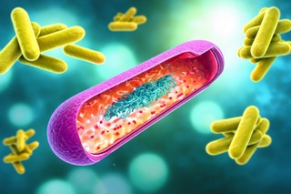 Un vaccin experimental administrat pe cale nazală, promiţător în tratamentul tuberculozei rezistente