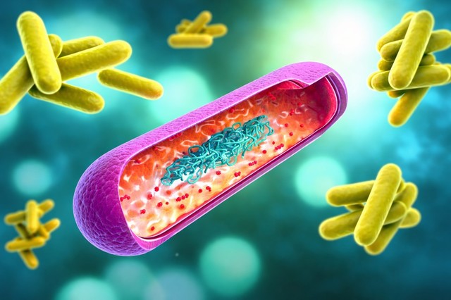 Poza pentru articolul Un vaccin experimental administrat pe cale nazală, promiţător în tratamentul tuberculozei rezistente