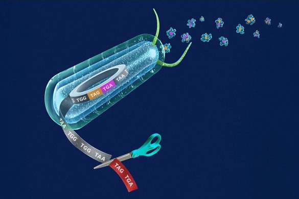 Oamenii de ştiinţă au reprogramat codul genetic pentru a crea un organism sintetic revoluţionar