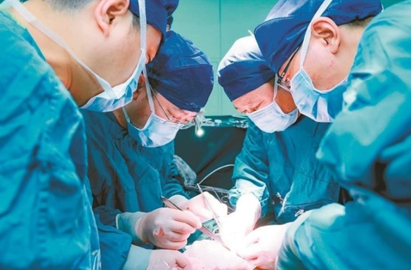 Transplant de rinichi de la porc la om, efectuat în China. Xenotransplantul oferă speranţă milioanelor de pacienţi şi ar putea rezolva criza de organe