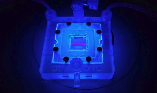 Ţesuturi vii imprimate 3D: un pas înainte în tratarea diabetului