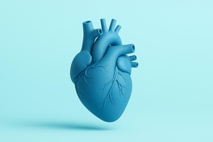 Oamenii de ştiinţă au implantat cu succes o aortă sintetică, în studii preclinice