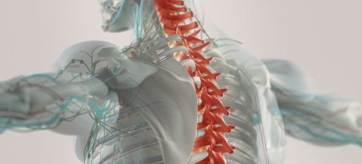 Un nou implant ar putea reda mobilitatea persoanelor cu leziuni ale măduvei spinării