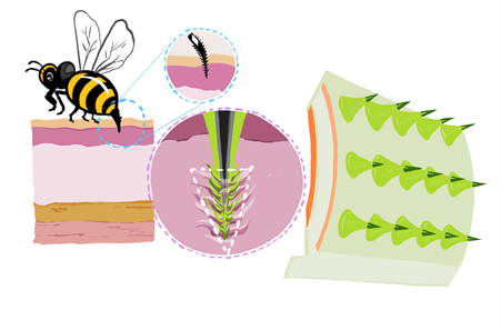 O tehnologie inspirată din natură ar putea revoluţiona administrarea medicamentelor