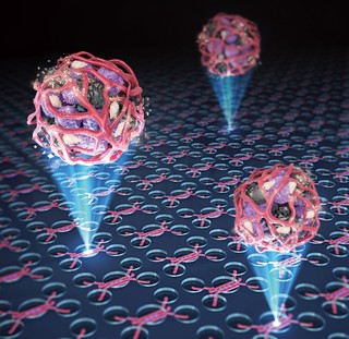 Cercetătorii au creat un model funcţional de cancer pulmonar care dezvăluie mecanismele de apărare ale tumorilor în faţa imunoterapiei