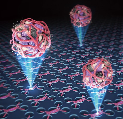 Cercetătorii au creat un model funcţional de cancer pulmonar care dezvăluie mecanismele de apărare ale tumorilor în faţa imunoterapiei